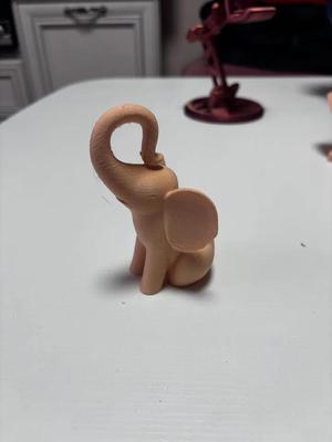 Cute elephant   