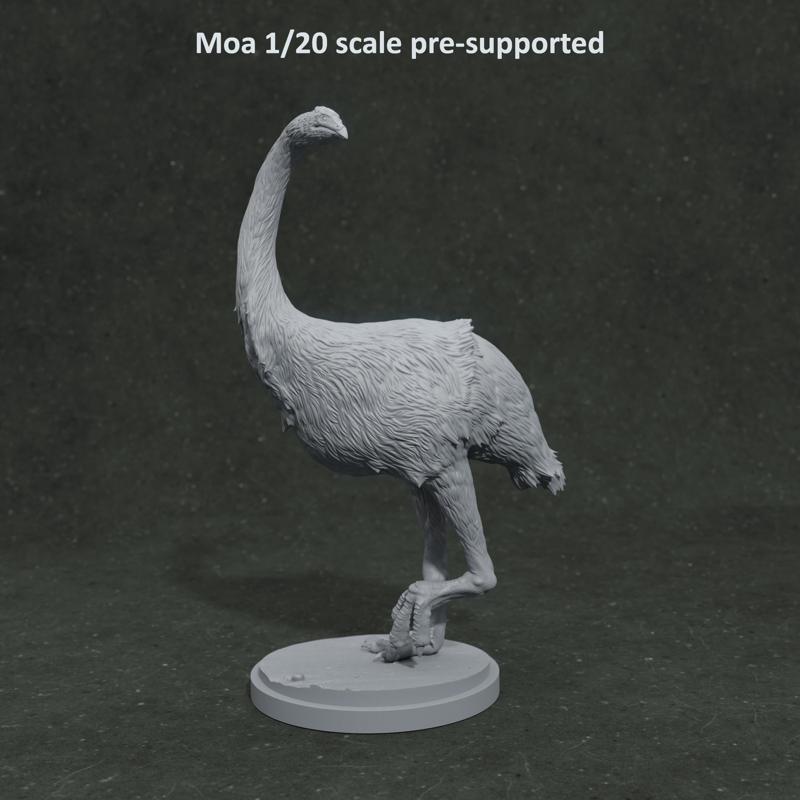 Moa turning 1-20 scale pre-supported prehistoric bird