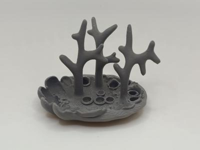 Coral Reef – Ocean Base