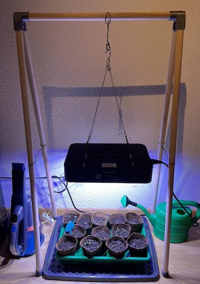 Rack for chili raising lamps