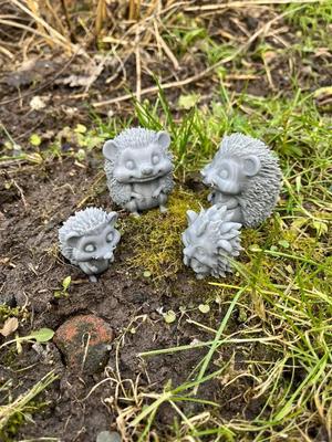 Hedgehog Family   