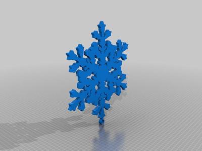 Reality inspired Snowflakes