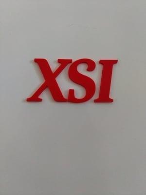 Logo_XSI_PSA