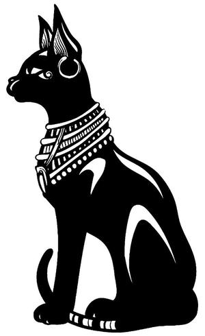 2D Black Cat