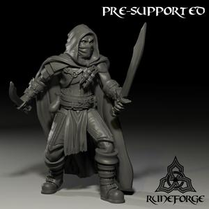 Rogue - Sword and Dagger