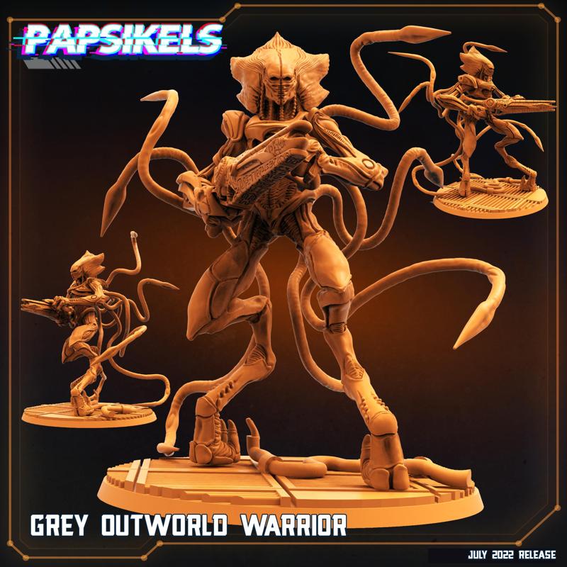 GREY OUTWORLD WARRIOR