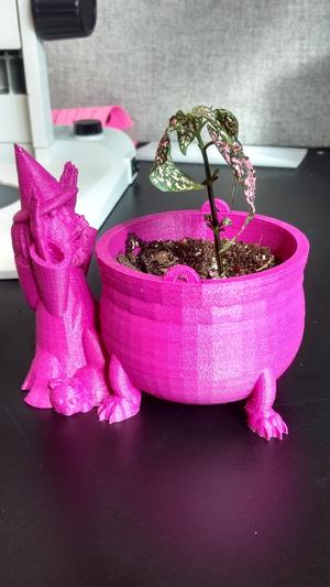 Witch Planter