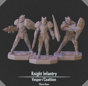 Knight Infantry