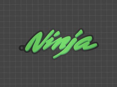 Kawasaki NinJa Keychain