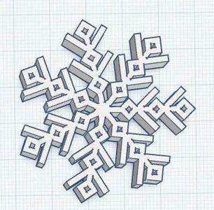 Płatek Śniegu   
