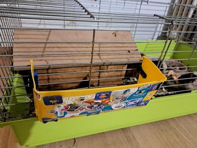 Guinea pig feeder cage