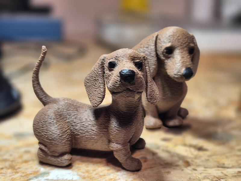 The Little Sweet Dachshund No. 2