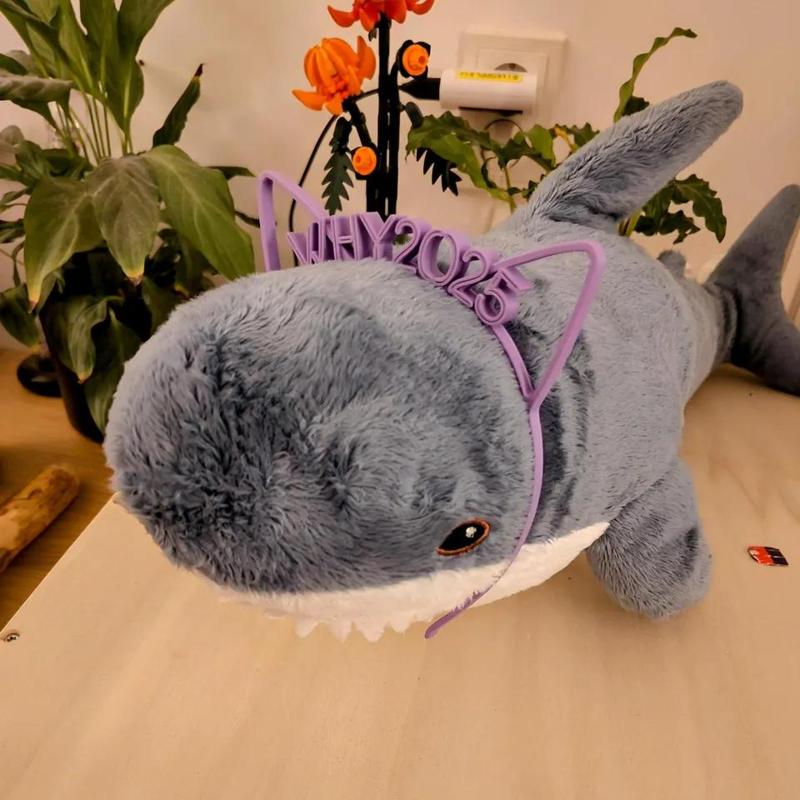 WHY2025 cat ear tiara   