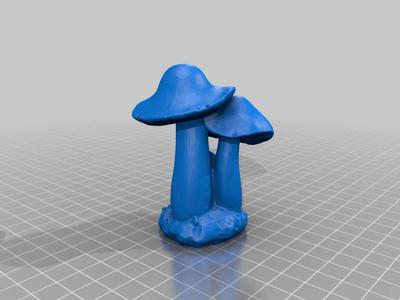 Mushrooms 3
