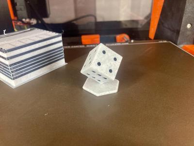 3D-Dice Printer Test