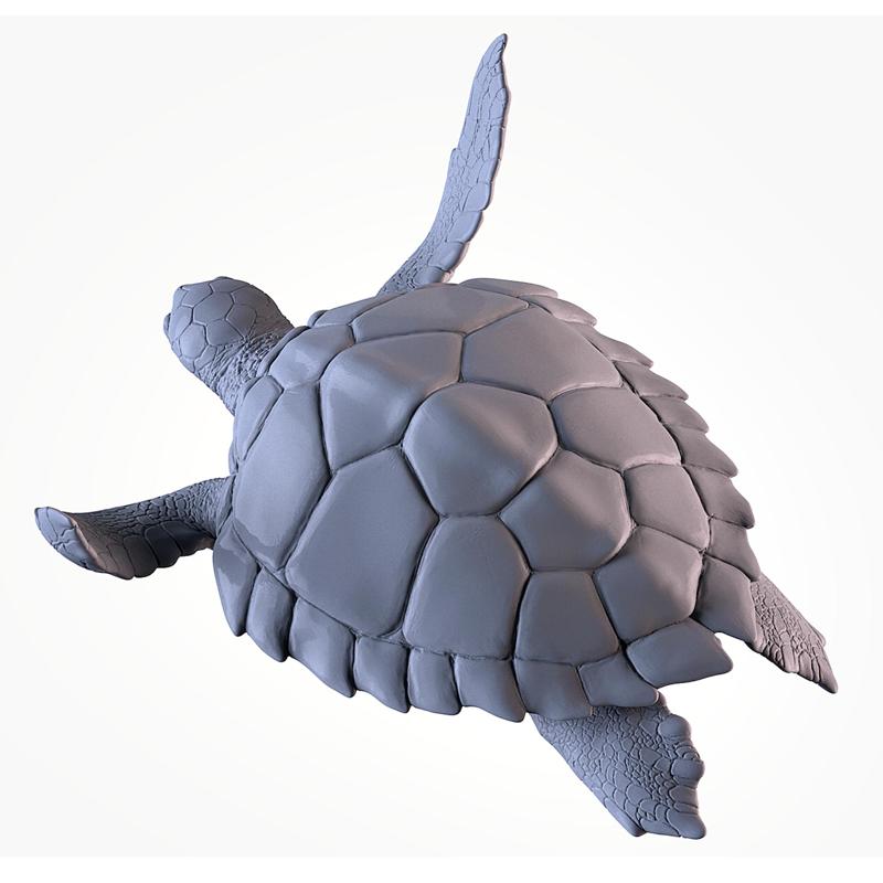 Turtle