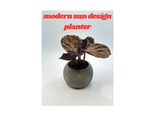 modern design sun planter