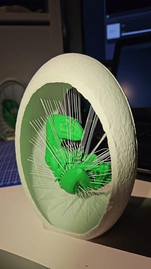 Raptor Embryo Suspended String Art