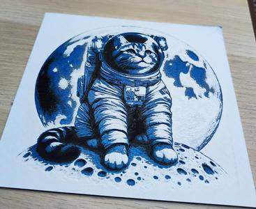 Cat on the Moon
