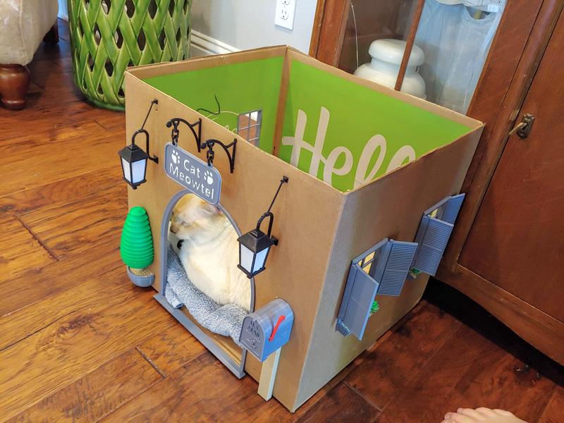 Cat Meowtel - Spruce up Your Cardboard Box