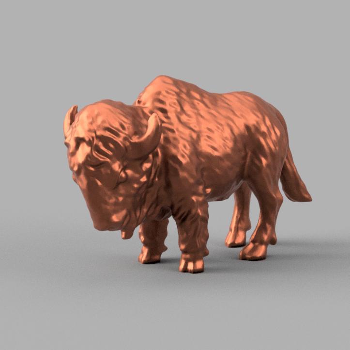 Bison