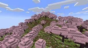 Cherry grove Minecraft