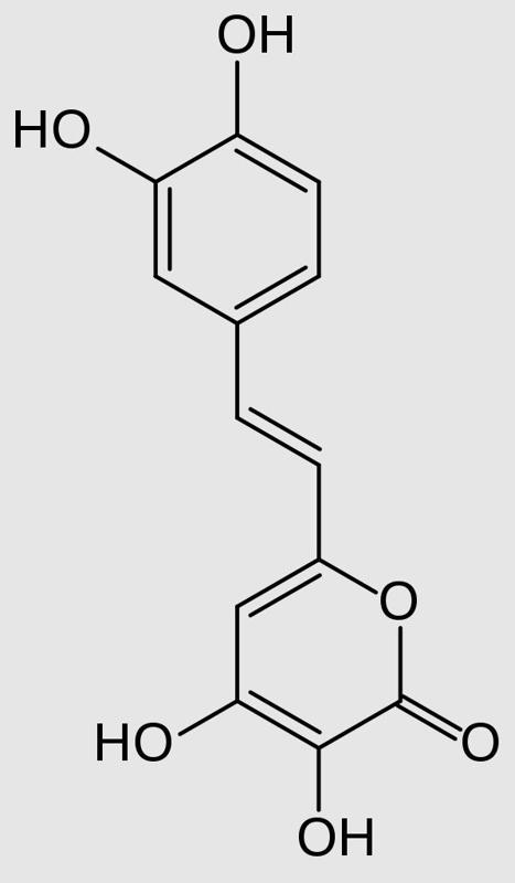 Luciferin Fungi