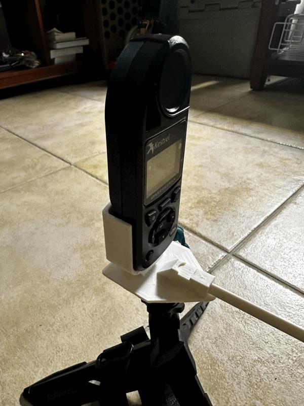 Kestrel Weather Vane