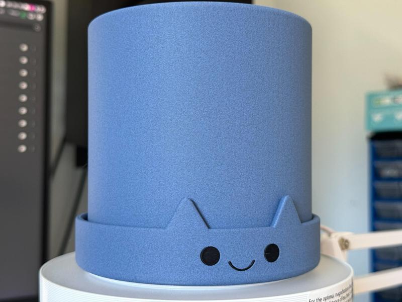 Planter with Cat Drip Tray