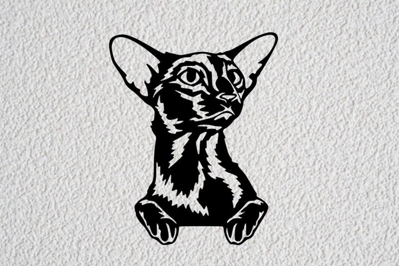 oriental shorthair cat wall decoration wall mural decoration pet dog deco wall house realistic Pet