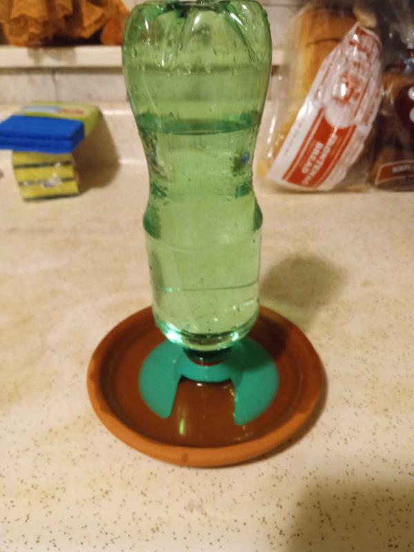 Water Bottle Dish Saucer Refill for Herps