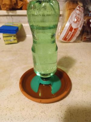 Water Bottle Dish Saucer Refill for Herps