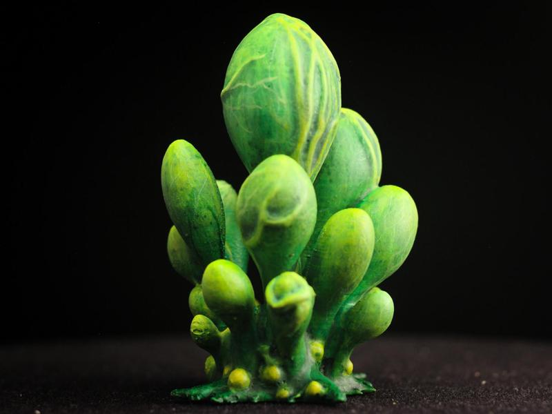 Tabletop plant: "Blob Crowd Plant" (Alien Vegetation 15)
