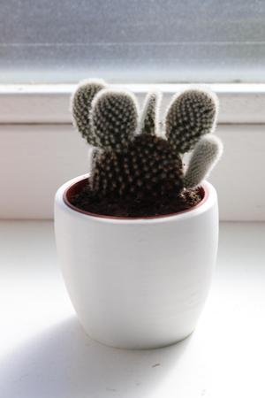 Simple flower pot
