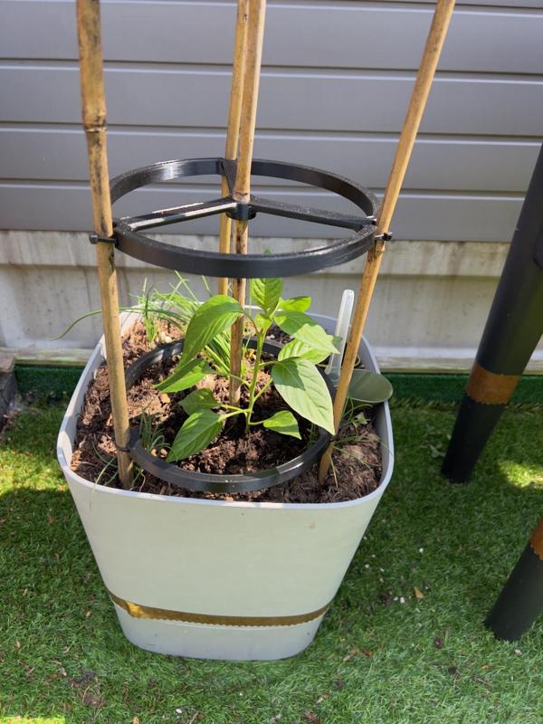 Scalable Plant Support Trellis