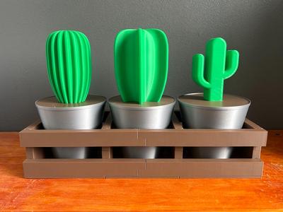 Hidden Stash Planter