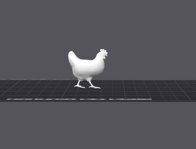 Mini Chicken Model