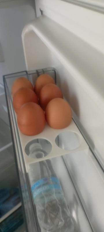 Egg Tray