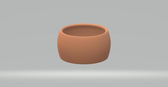 Pot for cactus