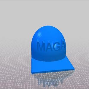 Maga Hat for sending D1@% PICS. 