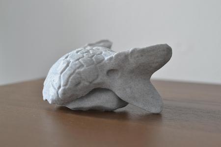 Ankylosaurus skull