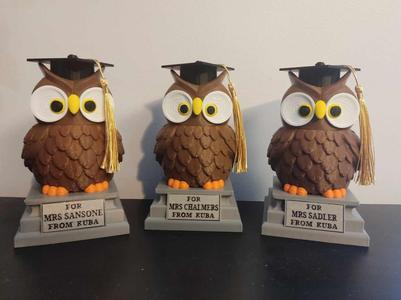 Teacher Appreciation / Graduation Owl Gift