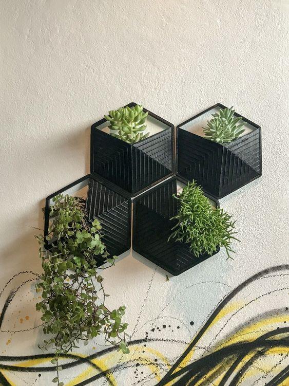 MODERN HEXGONAL WALL PLANTER + EDITABLES