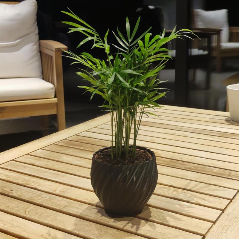 Cache-pot / vase torsadé pour basilic, Flowerpot / twisted vase for basil, flower ...