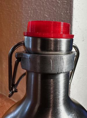 Sigg Sealing Ring