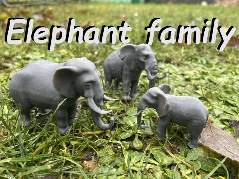 Elephant family to the Zoo