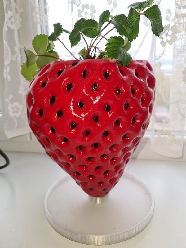 A plate for a strawberry pot