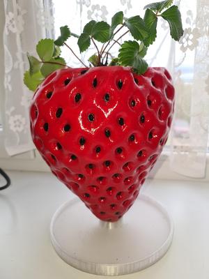 A plate for a strawberry pot