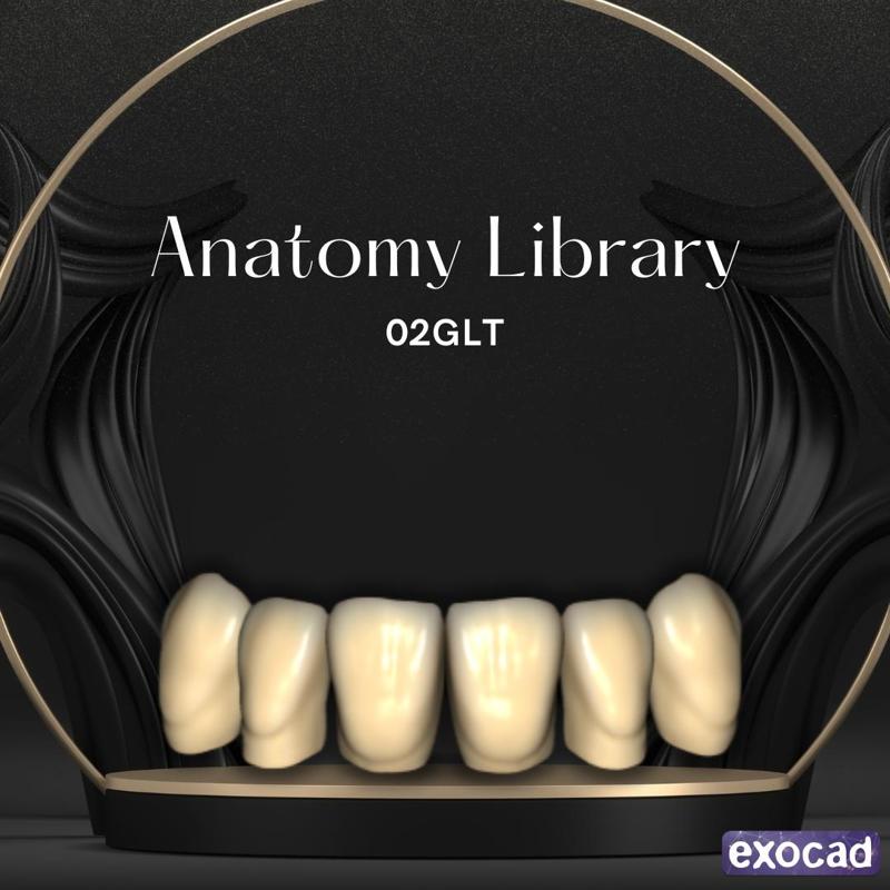 Dental Library 02GLT