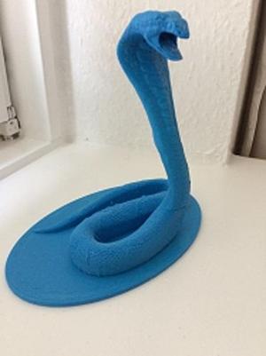 Cobra snake